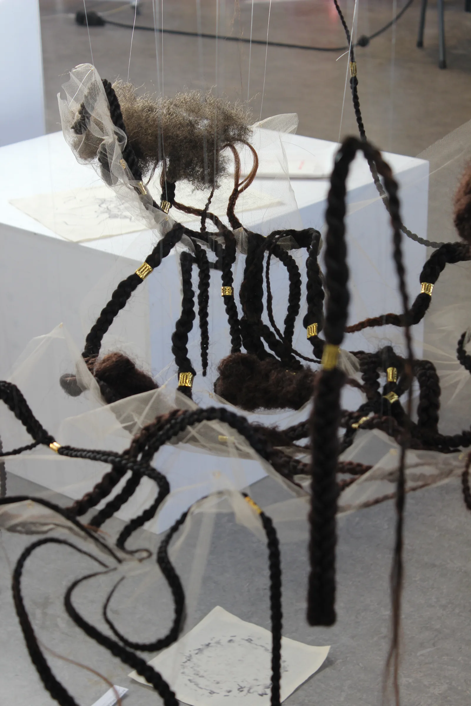 Detail of the braided cognitive map