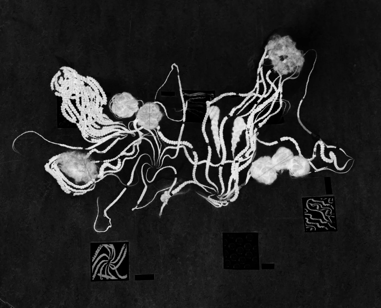 Braids of the cognitive map