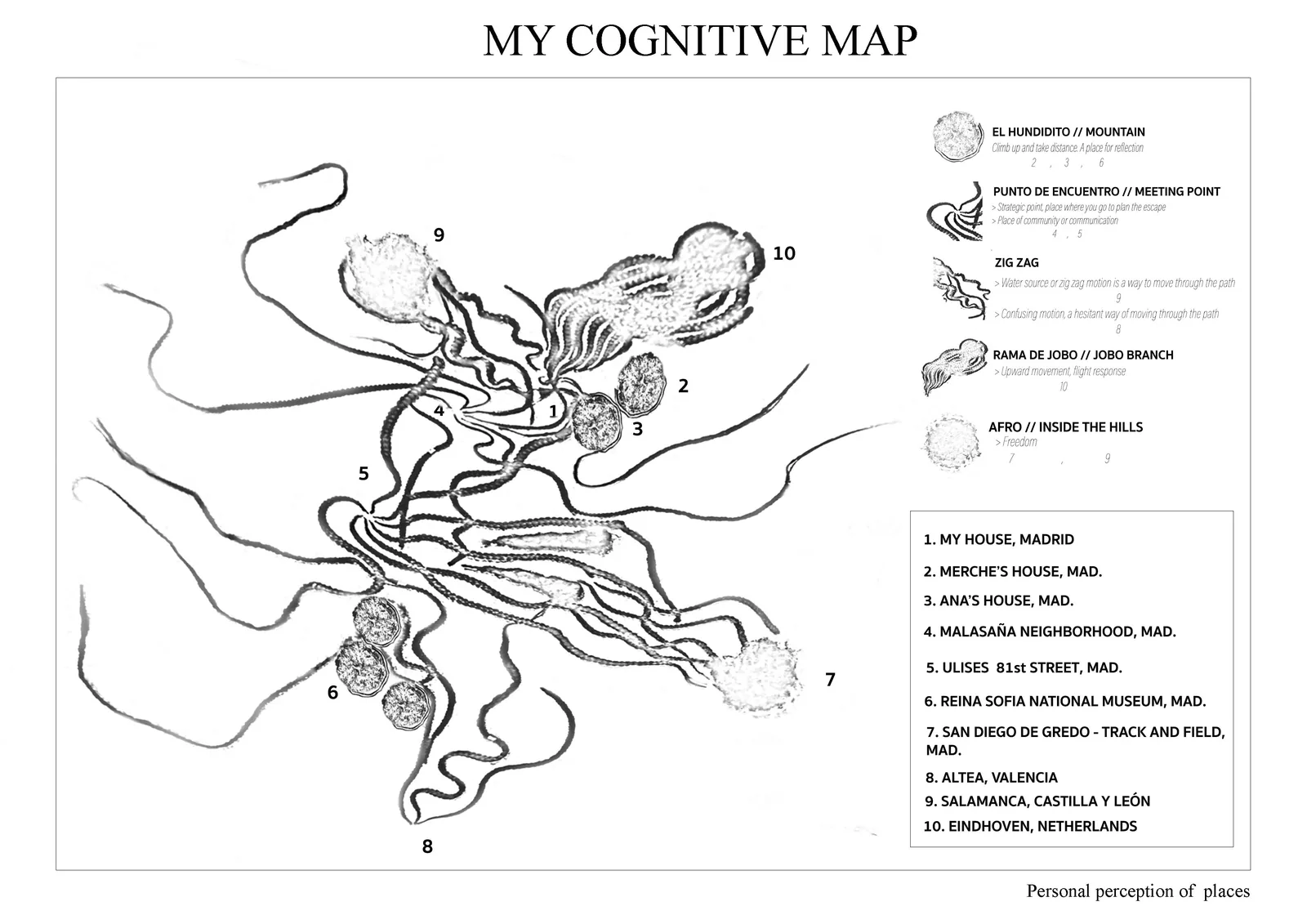 The cognitive map, drawn